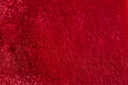 Plush Flannel Fleece Blanket - Super Soft Throw in Red - Image 4