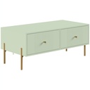Modern Coffee Table 2 Drawers Storage Metal Legs Light Green