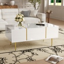 White High-Gloss Coffee Table with 2 Drawers, White