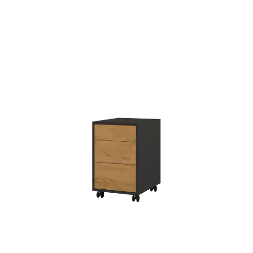 GENIUS  Mobile Storage Unit