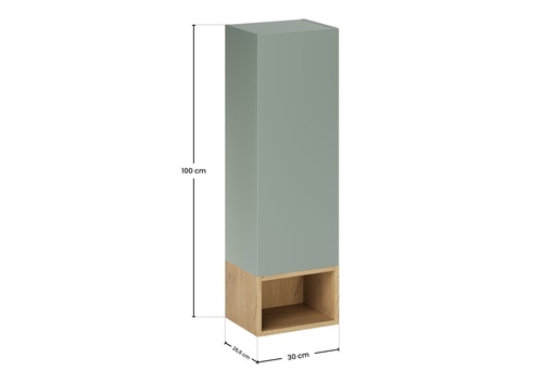 Aster Green Wall-Hung Cabinet 1 Door + Cremona UN Open Shelf – Aloes Matt / Oak, 30 cm Set